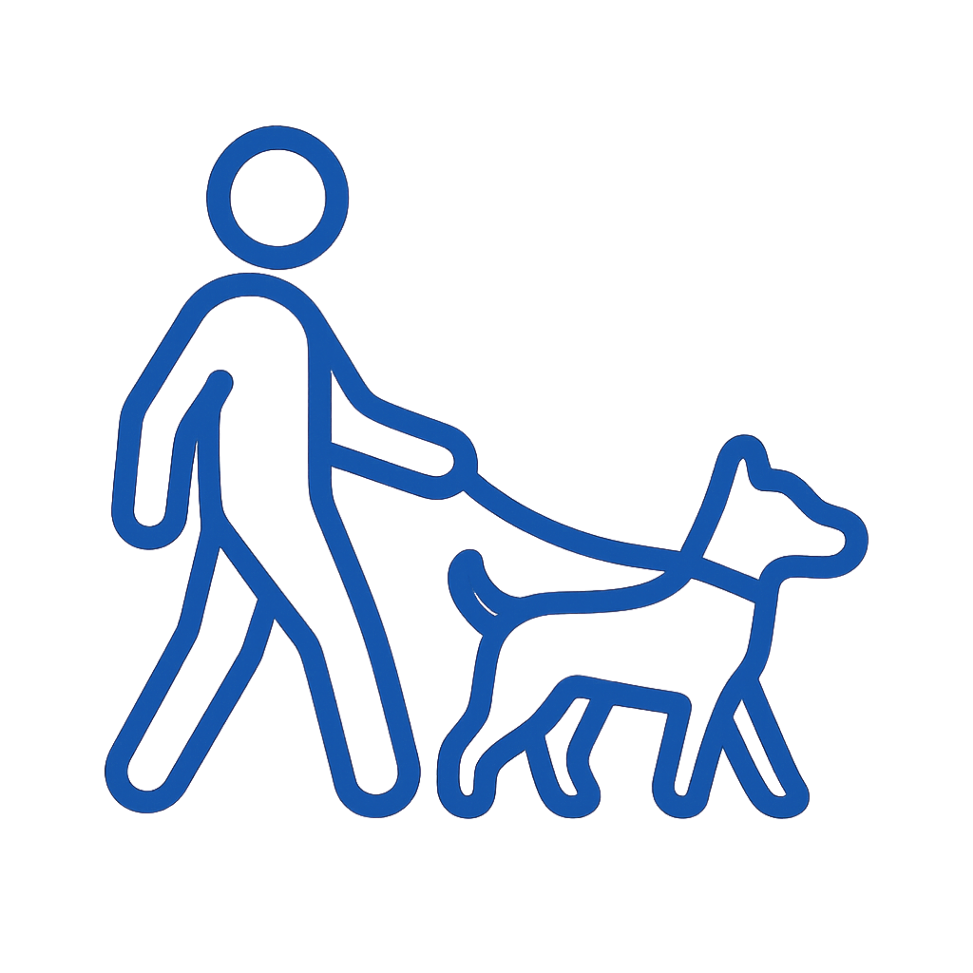 Dog Walking